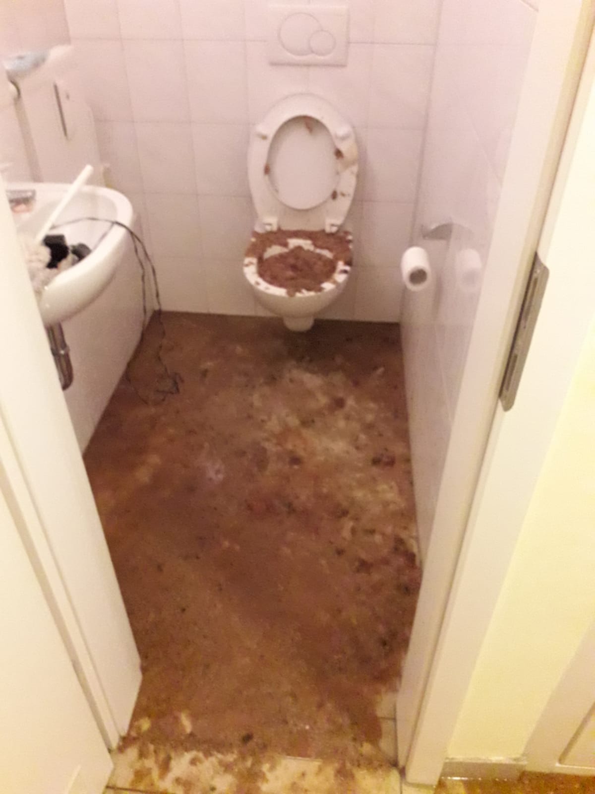 Toilette Rohr Verstopft